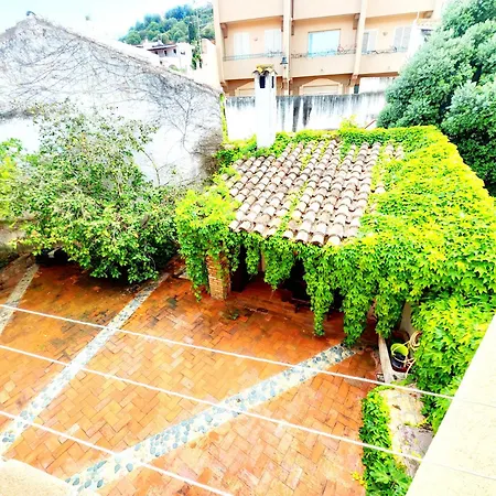 Gamm Simius * וילסימיוס